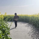 扬州旅游 缩略图 5