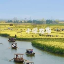 扬州旅游 缩略图 2