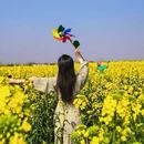 扬州旅游 缩略图 1