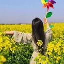 扬州旅游 缩略图 4