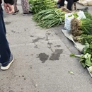 徐州旅游 缩略图 12