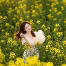 扬州旅游 缩略图 5