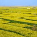 徐州旅游 缩略图 3