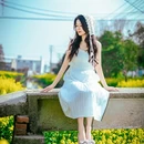 扬州旅游 缩略图 9