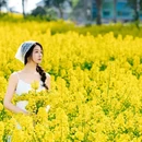 扬州旅游 缩略图 14