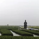 扬州旅游 缩略图 1