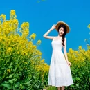 扬州旅游 缩略图 4