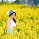 扬州旅游 缩略图 16