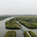 扬州旅游 缩略图 7