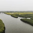 扬州旅游 缩略图 6