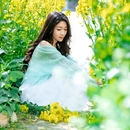 扬州旅游 缩略图 17