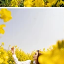 扬州旅游 缩略图 5
