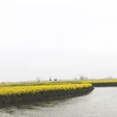 扬州旅游 缩略图 4