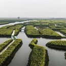扬州旅游 缩略图 8