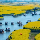 扬州旅游 缩略图 10