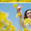 扬州旅游 缩略图 7