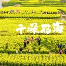 扬州旅游 缩略图 1