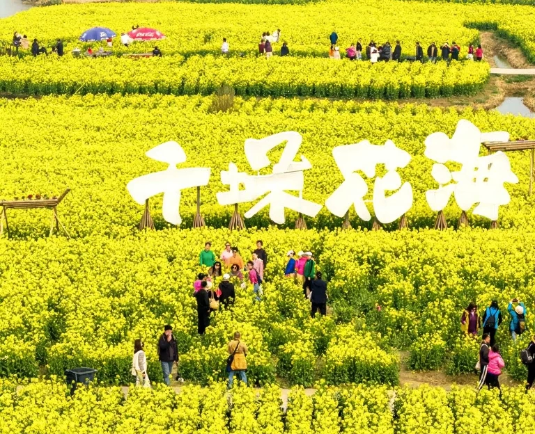 扬州旅游 1