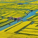 扬州旅游 缩略图 6