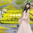泰州旅游 缩略图 1