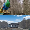 泰州旅游 缩略图 6