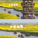 泰州旅游 缩略图 7