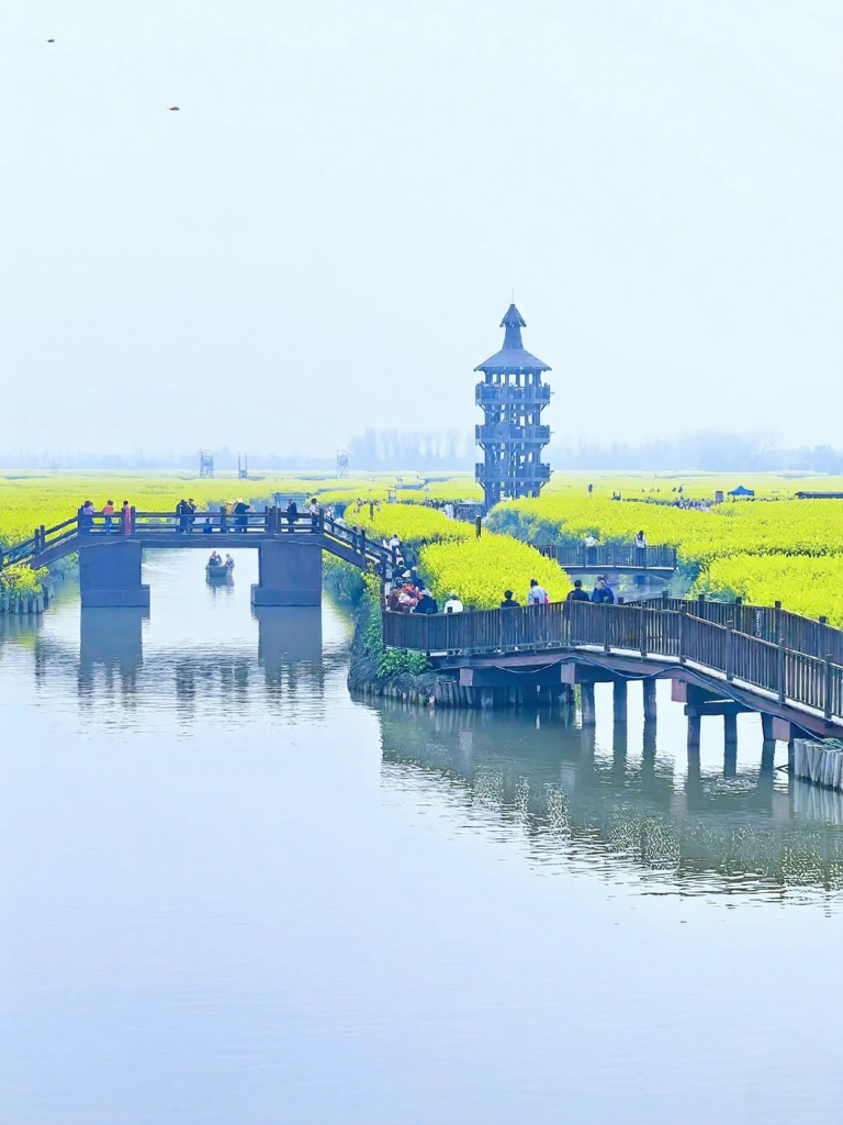 泰州旅游