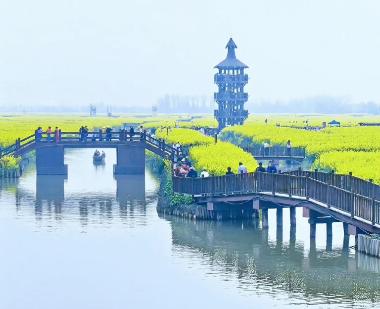 泰州旅游 1