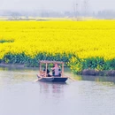泰州旅游 缩略图 4
