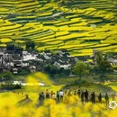 黄山旅游 缩略图 3