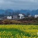 黄山旅游 缩略图 2