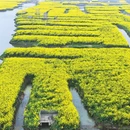 泰州旅游 缩略图 6