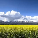 黄山旅游 缩略图 4