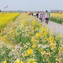 盐城旅游 缩略图 6