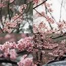 无锡旅游 缩略图 2