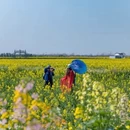 盐城旅游 缩略图 9