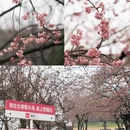 无锡旅游 缩略图 3