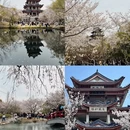 无锡旅游 缩略图 4