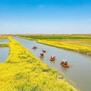 盐城旅游 缩略图 11