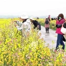 盐城旅游 缩略图 7