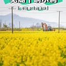 芜湖旅游 缩略图 1