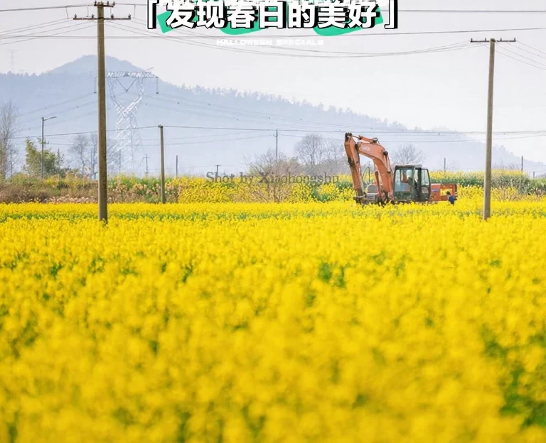 芜湖旅游 1