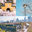 无锡旅游 缩略图 5