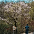 芜湖旅游 缩略图 9