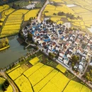 南京旅游 缩略图 1