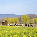 南京旅游 缩略图 5