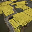 南京旅游 缩略图 6