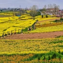 汉中旅游 缩略图 1
