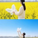 苏州旅游 缩略图 5