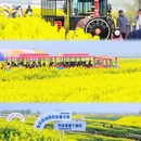扬州旅游 缩略图 2